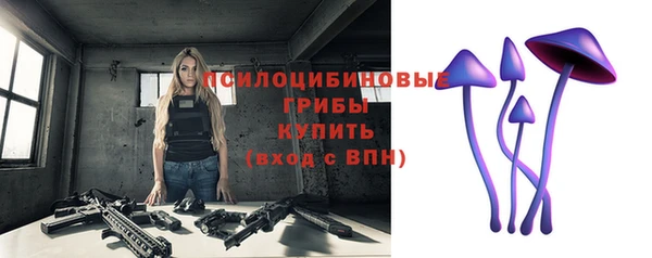 винт Куйбышев