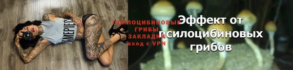 винт Куйбышев