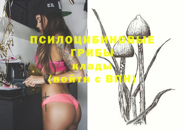 винт Куйбышев