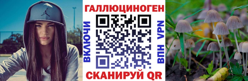 Галлюциногенные грибы ЛСД Тында