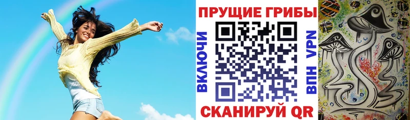 мориарти состав  Тында  Галлюциногенные грибы прущие грибы 