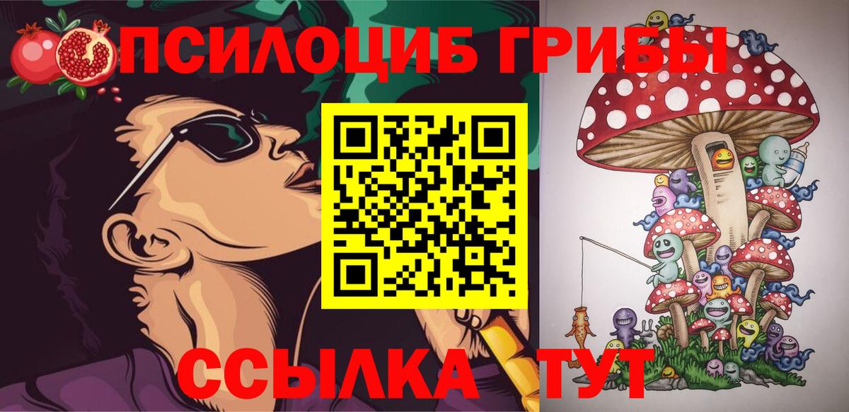 Галлюциногенные грибы Psilocybine cubensis Тында