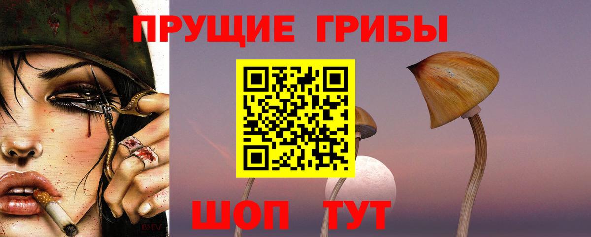 Галлюциногенные грибы прущие грибы  Тында 